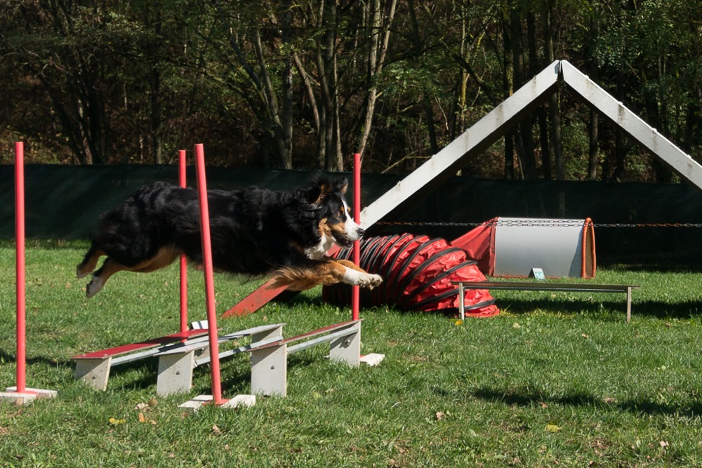 03_agi-nije-cloe-saut_longueur