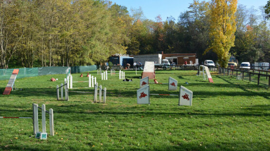 01_Installations_Agrés_Agility