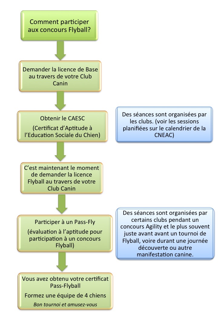 03_fly_particip_tournoi-fly