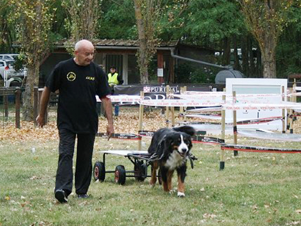 04_Attelage_Serge