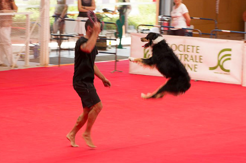 04_DogDancing2017_2