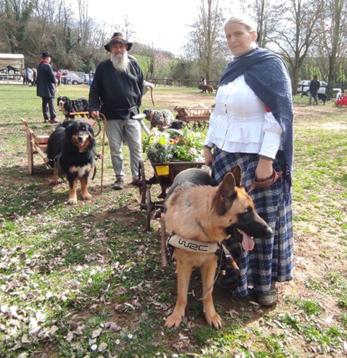 Attelage_Harmonie