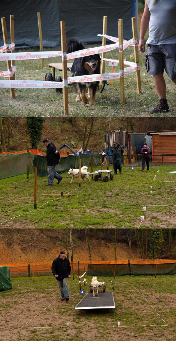 Attelage_Obstacles_1