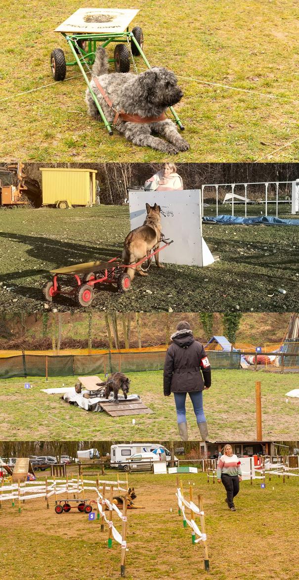 Attelage_Obstacles_3