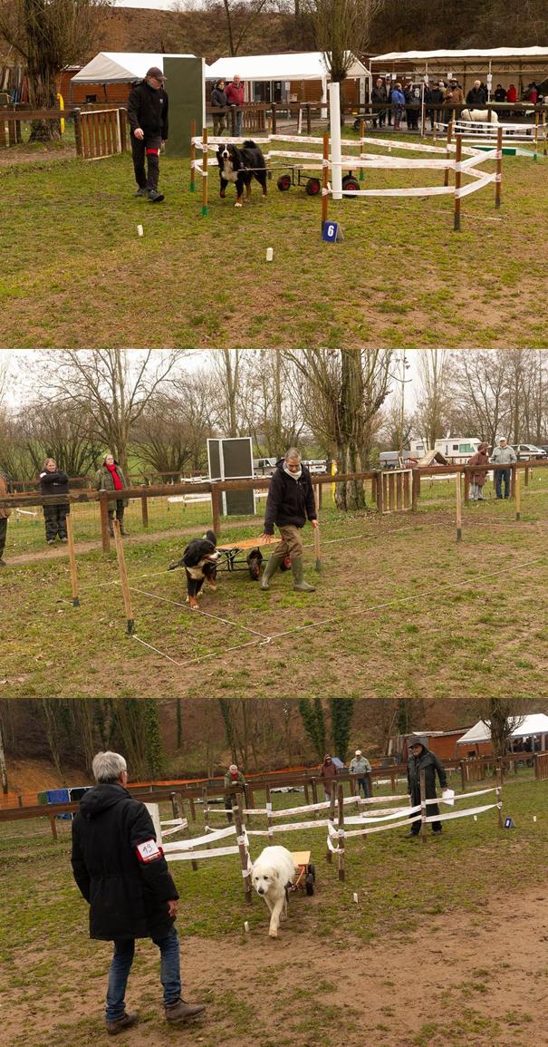 Attelage_Obstacles_4
