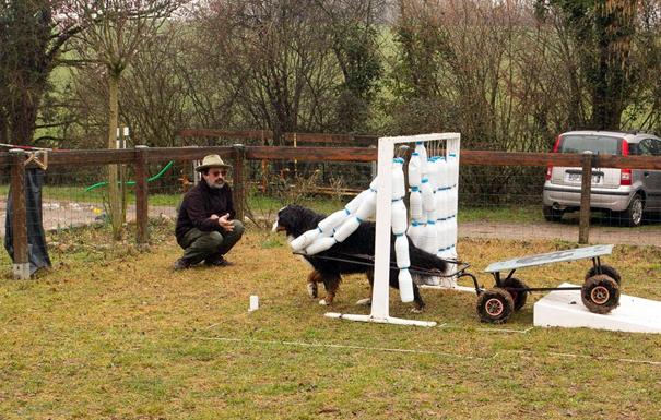 Attelage_Obstacles_6b