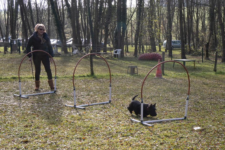 Hoopers_Seraphine